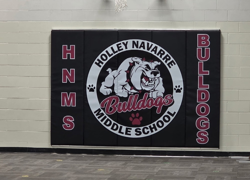 new gym mat