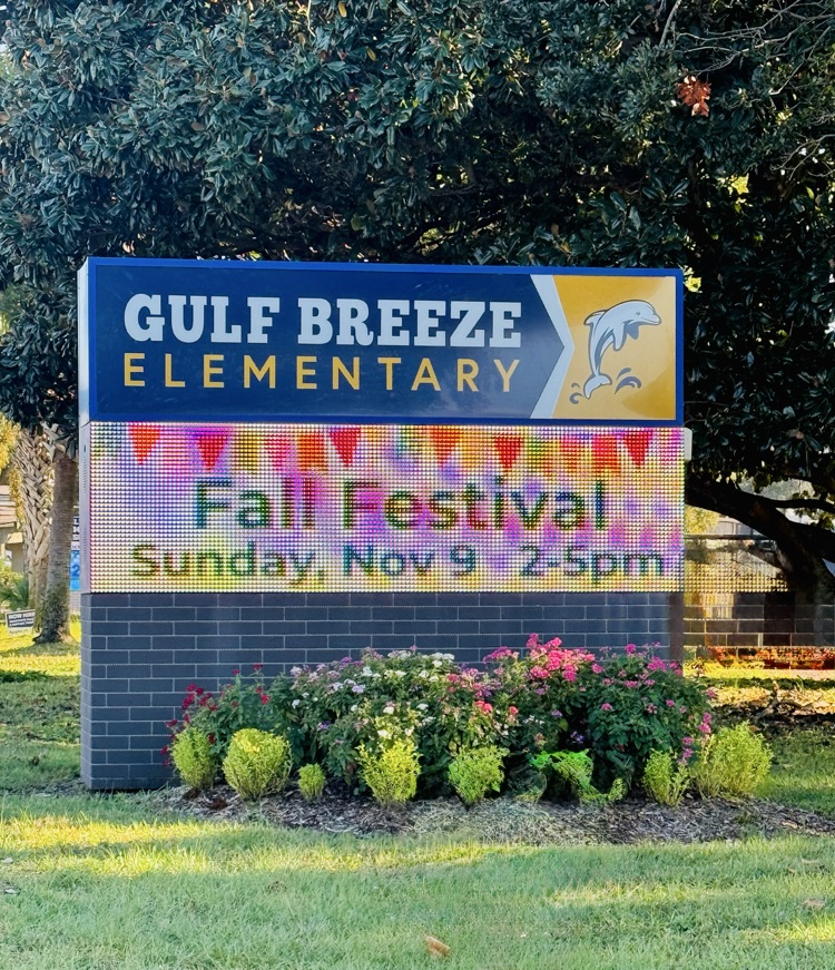 fall festival 11/9