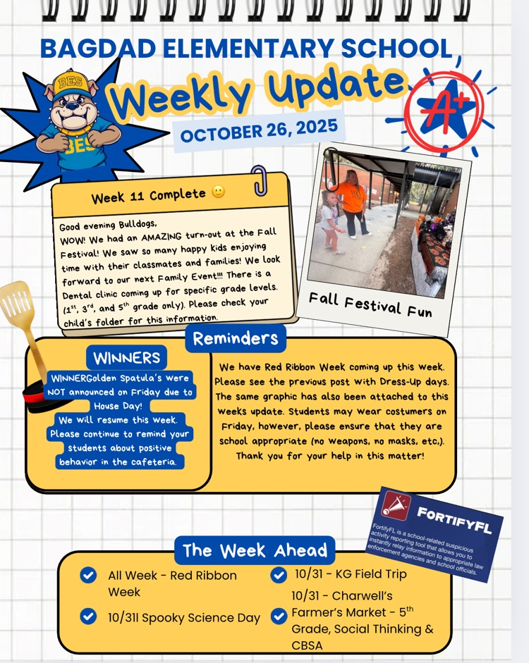 Weekly Update - Week #11