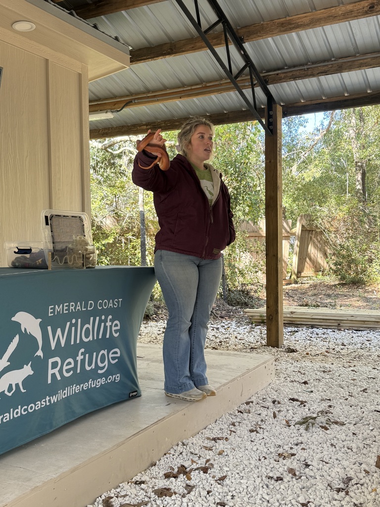 4th grade field trip