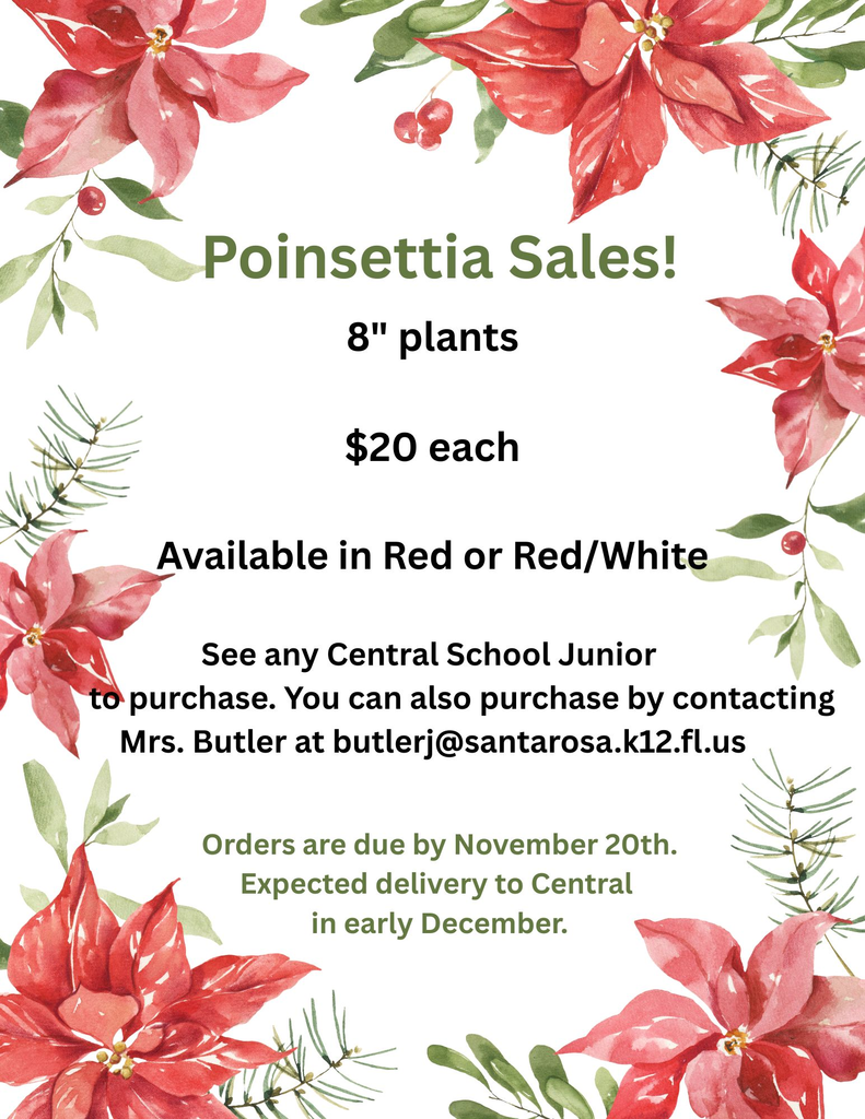 Poinsettia Sales!