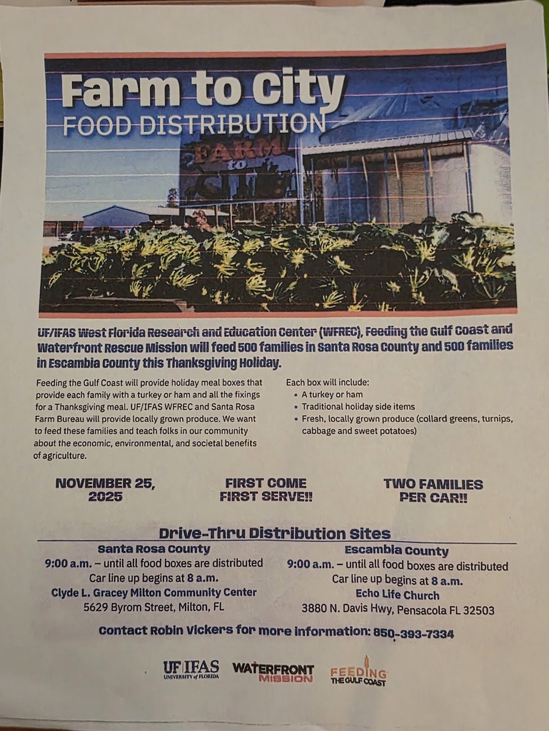 Farm to City Food Distribution flyer