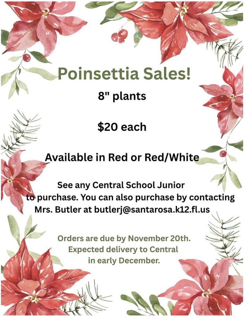Poinsettia Sales for Junior Class