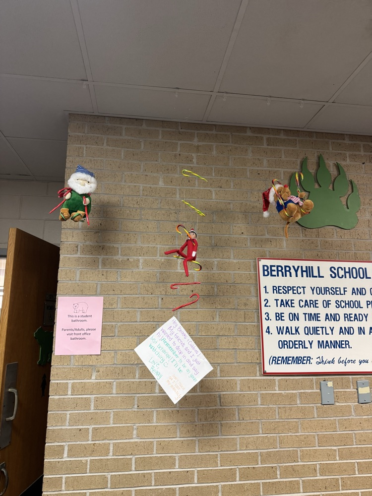 elf candy cane ladder