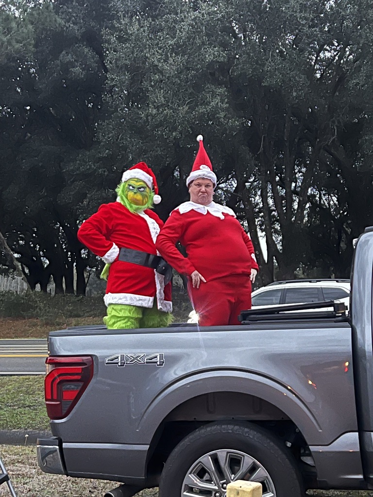 Grinch Elf