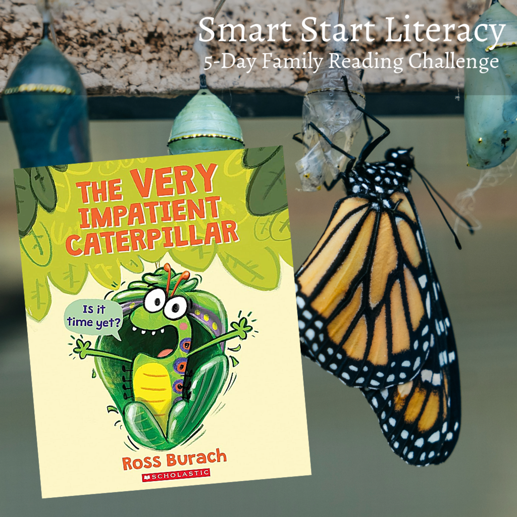 SSL Post Survey Reminder