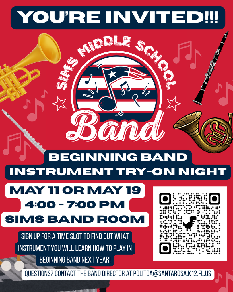 Sims band flyer