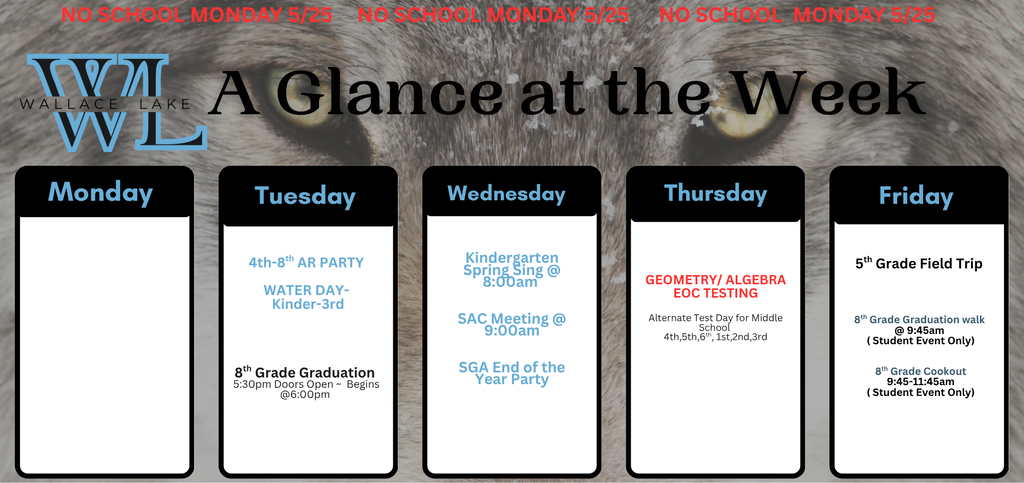 Plan of the week