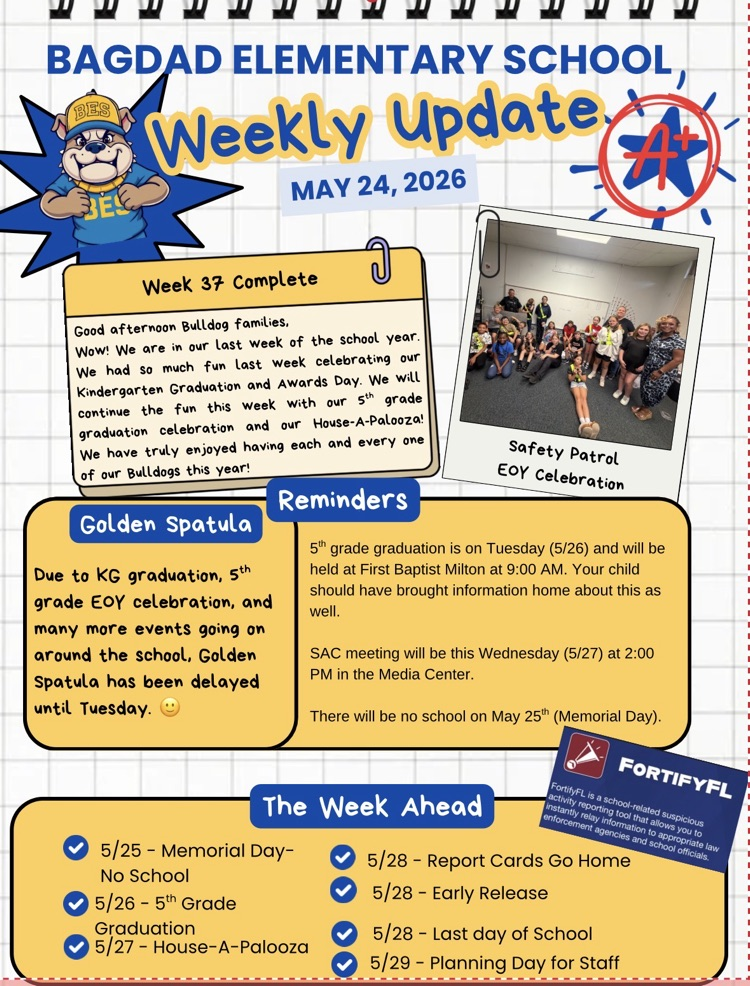 Weekly Newsletter 