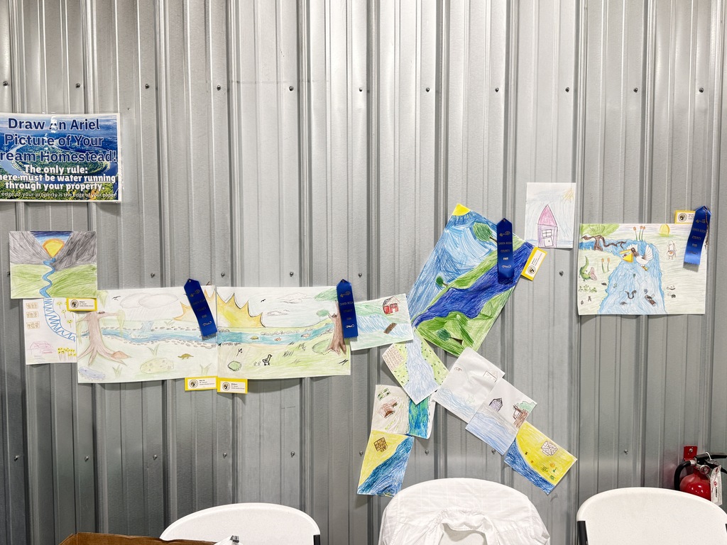 Water Art Show pic 2