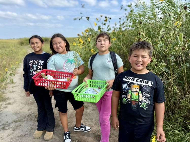 Four students gathering wild plants. 