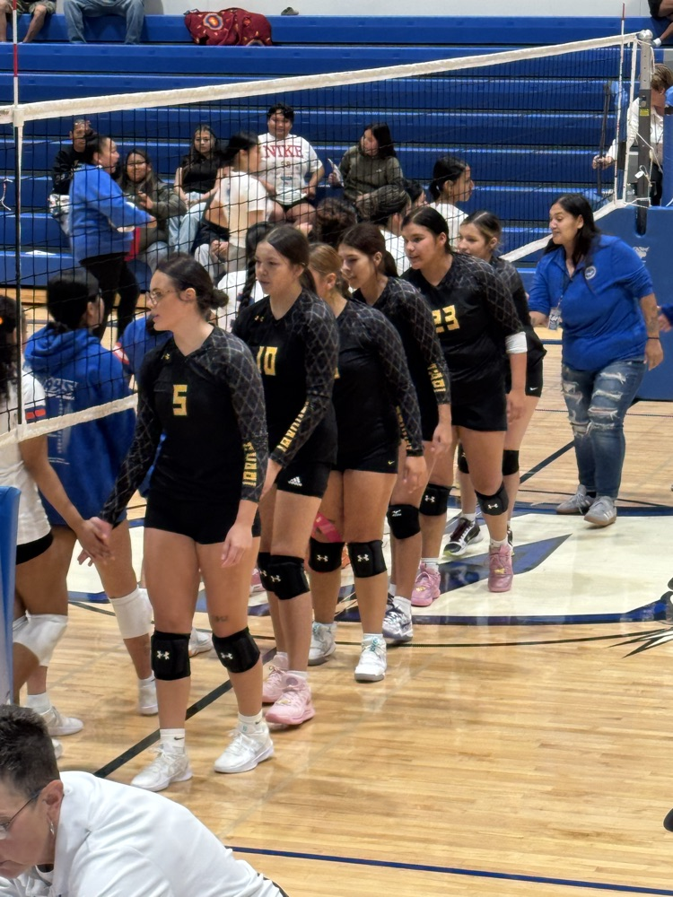 picture of the volleyball team shaking hands with their opponents. 