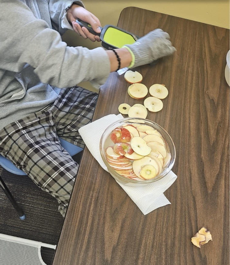 picture of student cutting apples into thin slices 