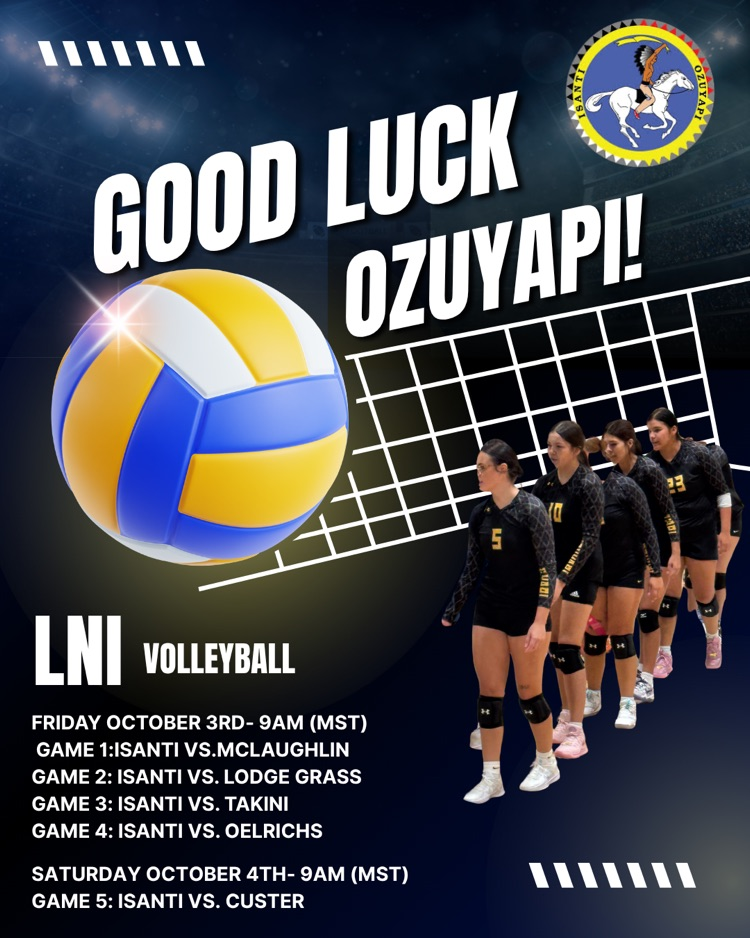 volleyball poster advertising game times at the LNI volleyball tournament