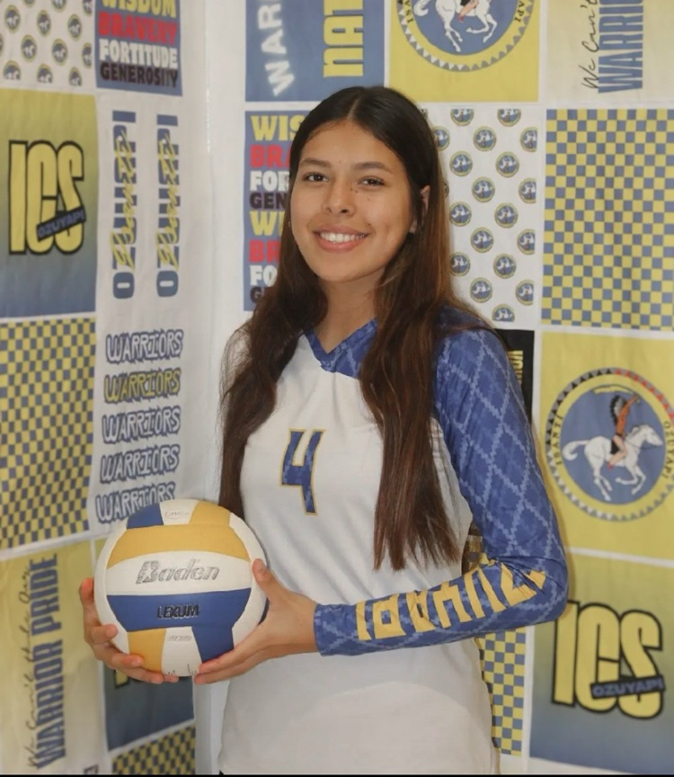 picture of a volleyball player holding a volleyball