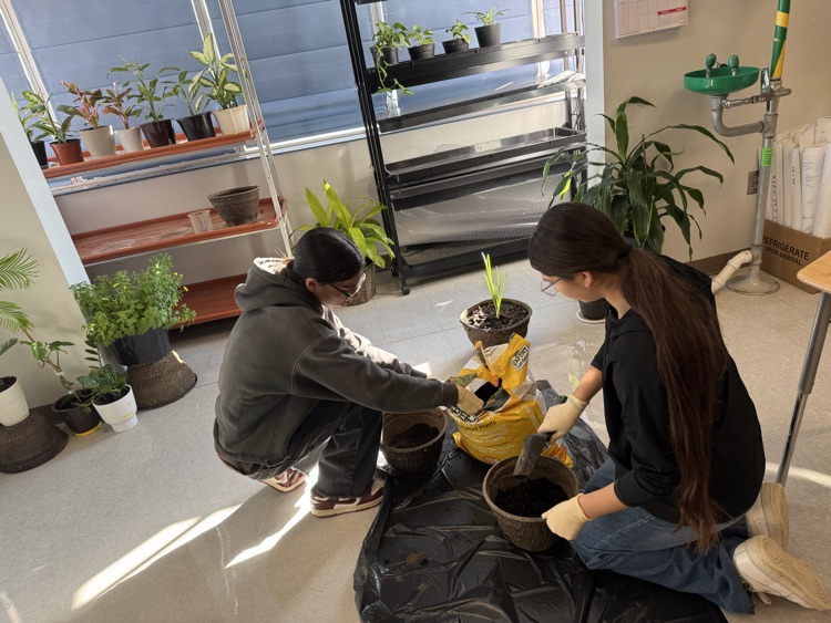 students planting seeds in their indoor classroom greenhouse