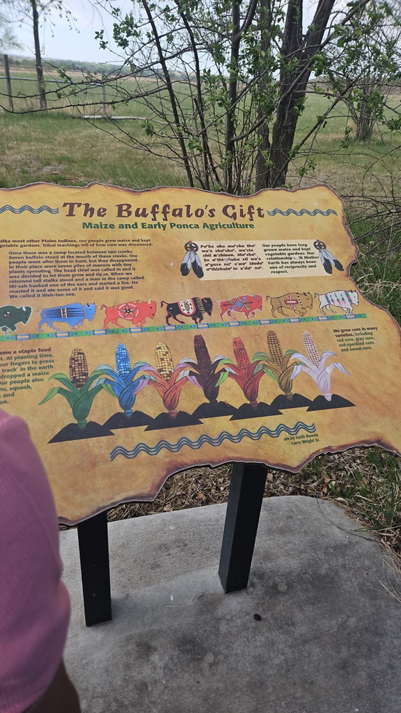Photo of a sign that says “The Buffalo Gift” with corn and buffalo painted on it