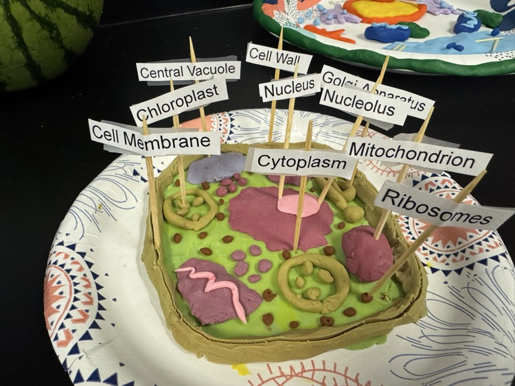 Photo of a picture of a science project of a cell created with Play-Doh