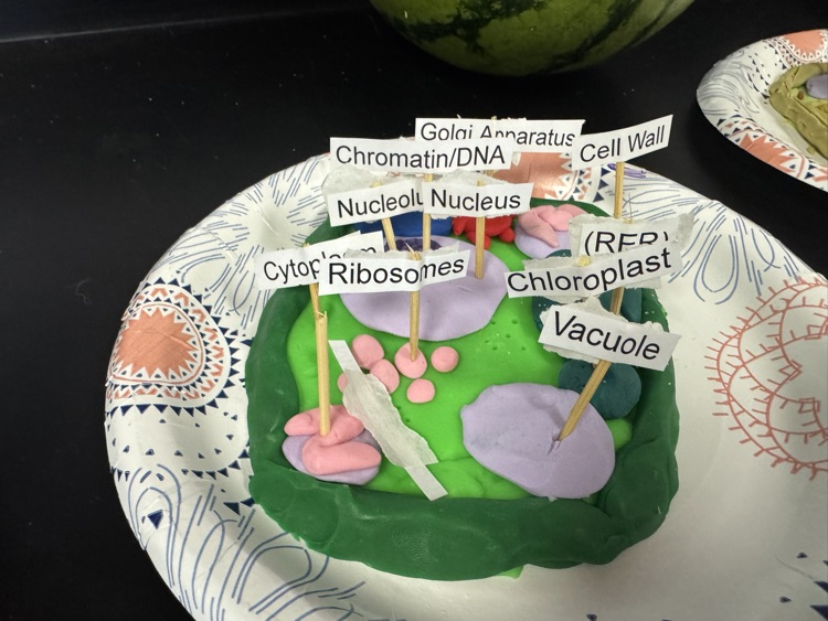 Photo of a cell created in science class with Play-Doh