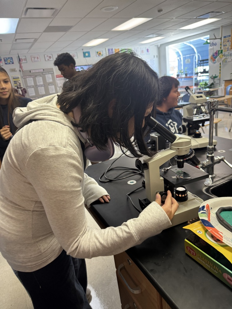 Photo of a student and a white sweater and black pants looking through a microscope
