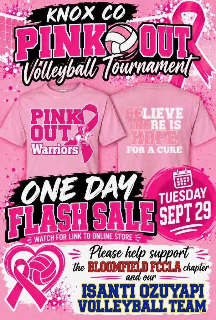 pink background with pink volleyballs and pink ribbon for a pink out volleyball tournament Sept 29