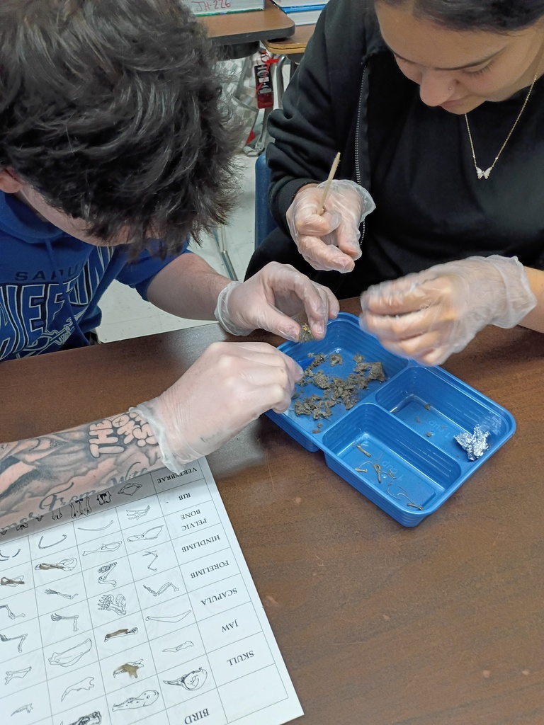 Pellet dissection
