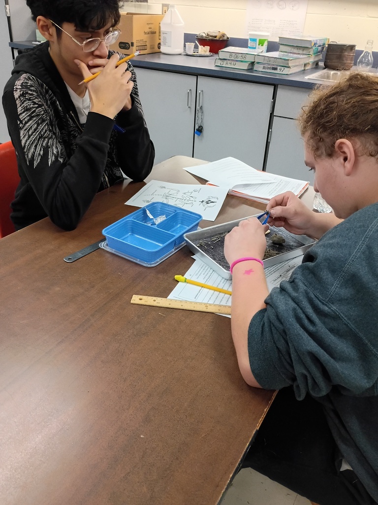 Pellet dissection in class