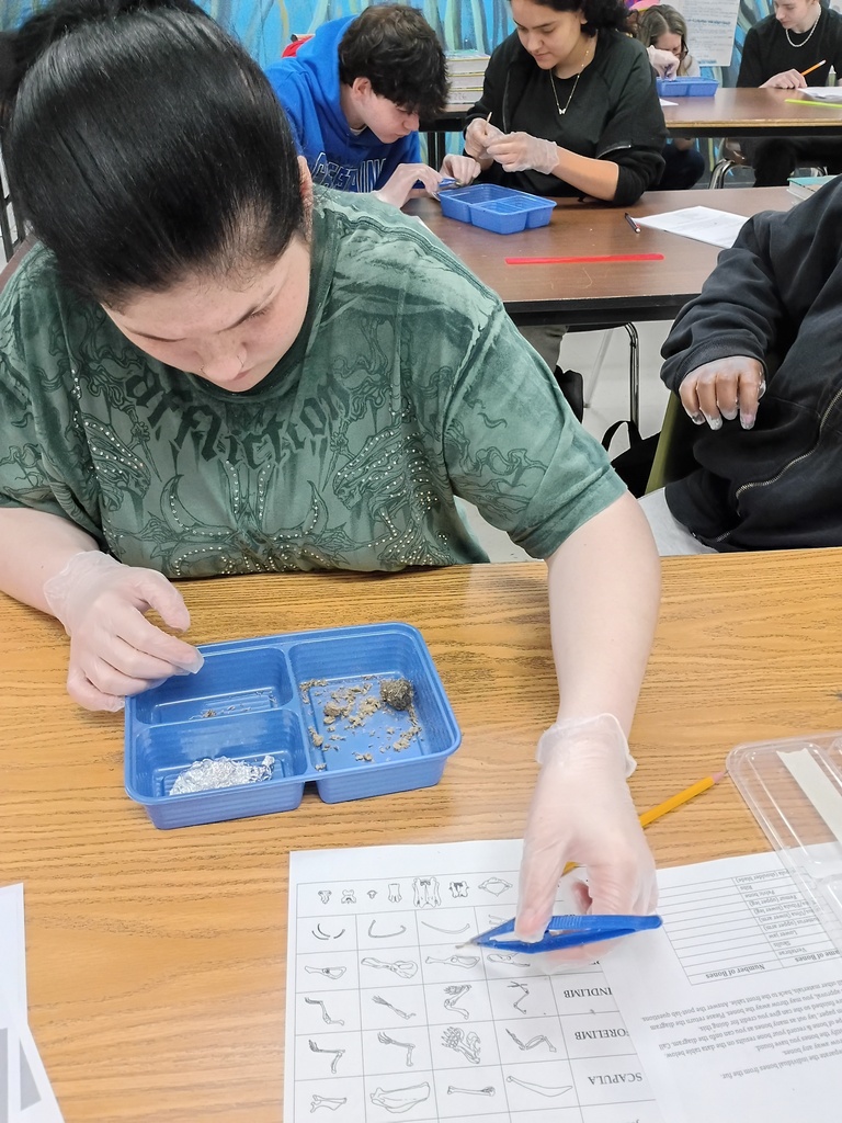 Pellet dissection