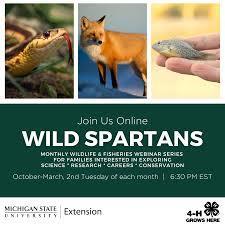 msu