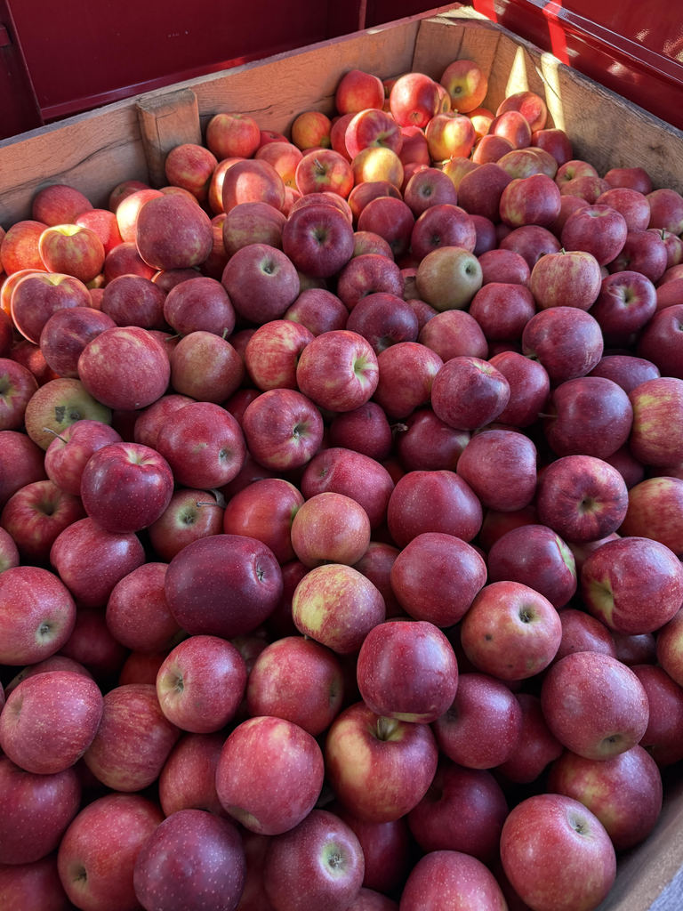 apples