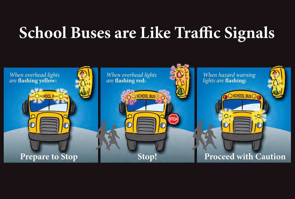 Student Drivers School Buses Are Like Traffic Signals FLYER 2-images-0