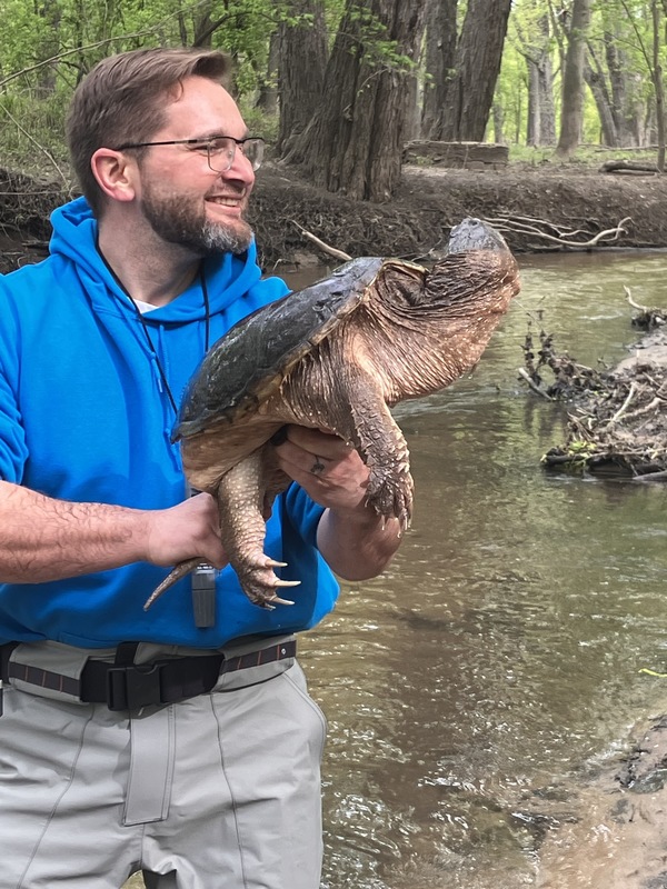 Turtle