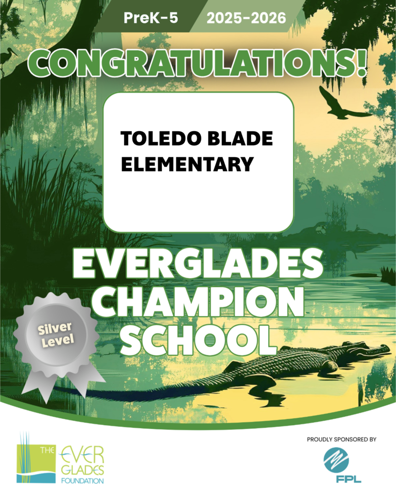 Silver Level Recognition