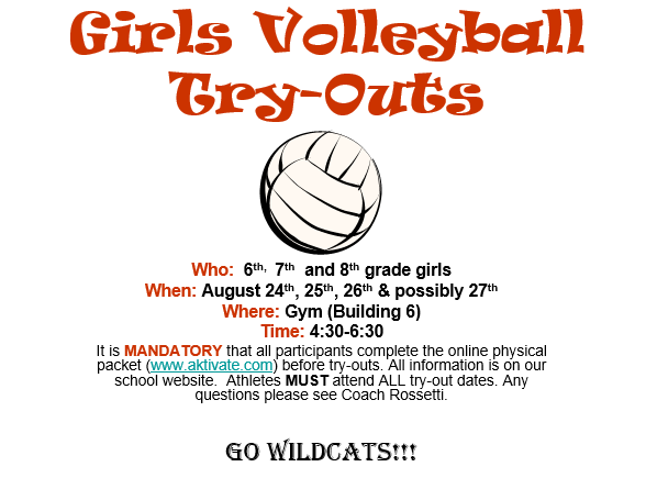 Volleyball