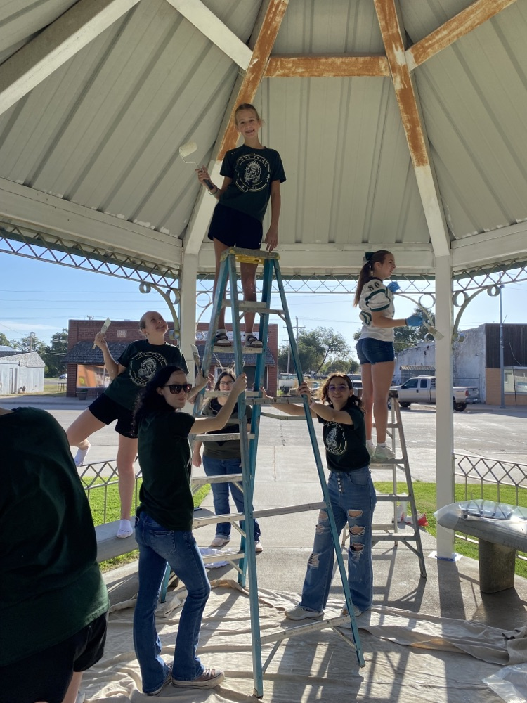 Gazebo painters
