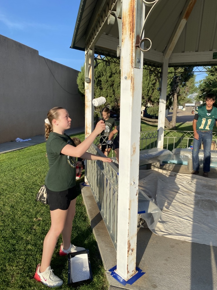 Gazebo painters