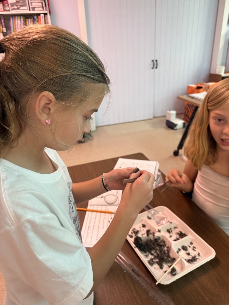 Two fifth graders dissecting owl pellets.
