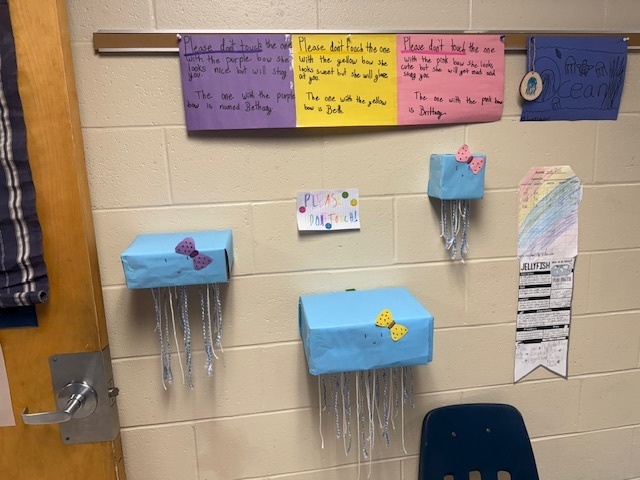 Jellyfish volume zoo projects!