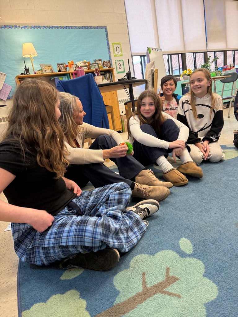 Mrs. Diorio leading a circle about bullying.