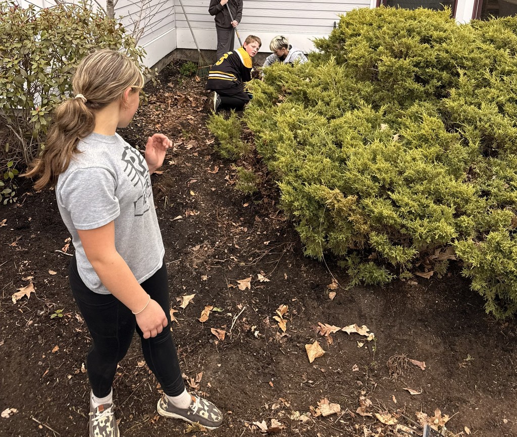 Cleaning the library grounds