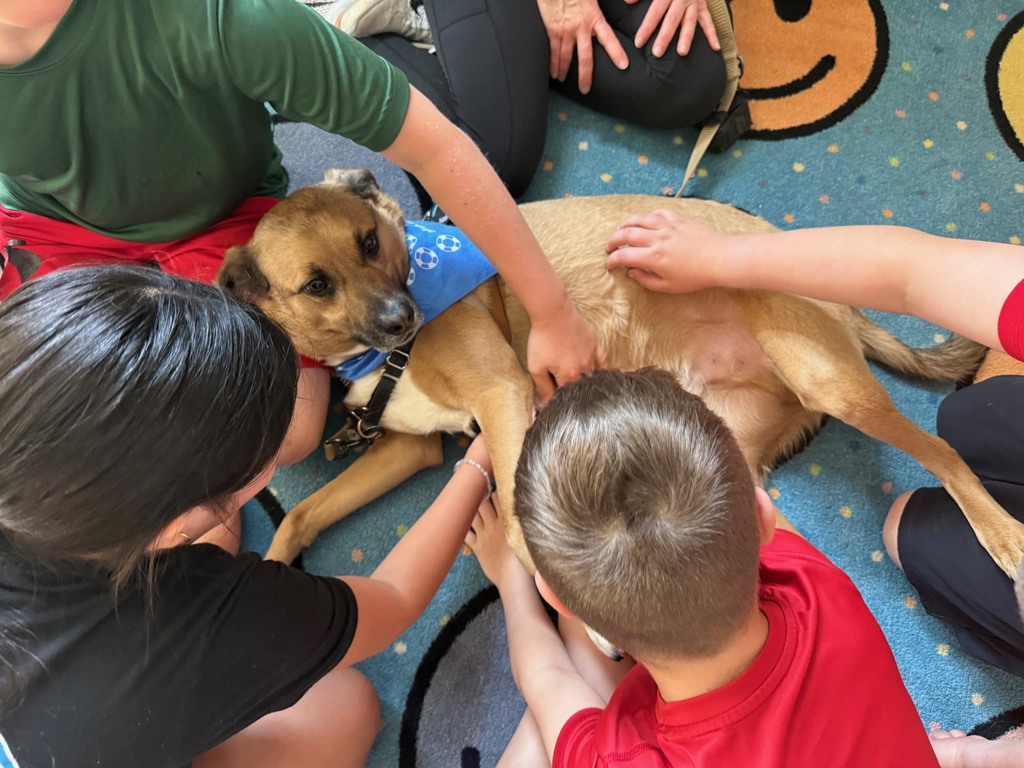 Students with Jaxson the therapy dog.