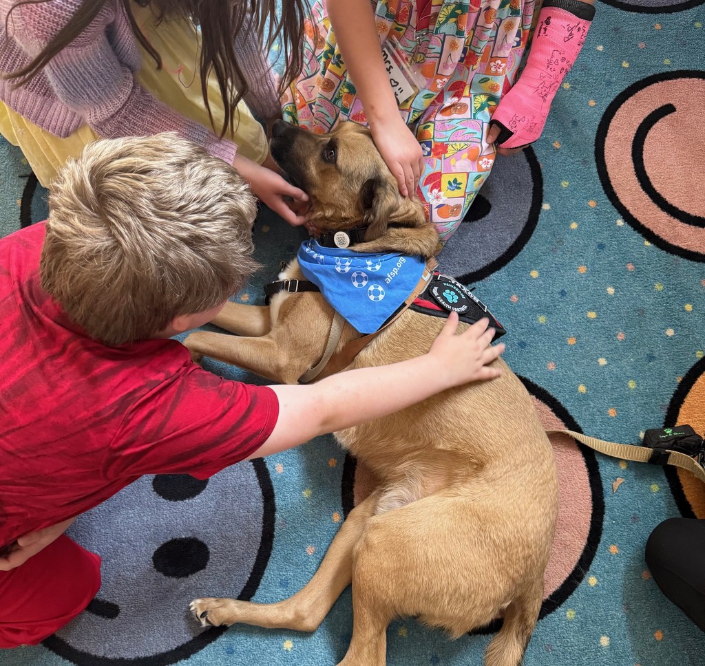 Students with Jaxson the therapy dog.