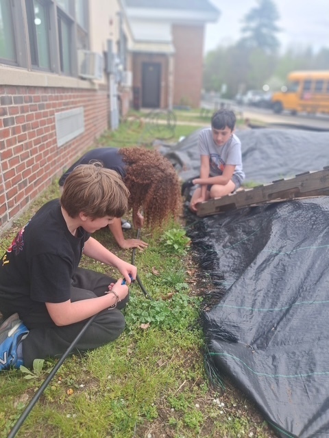Students installing the drip irrigation alongside the second grade gardens.
