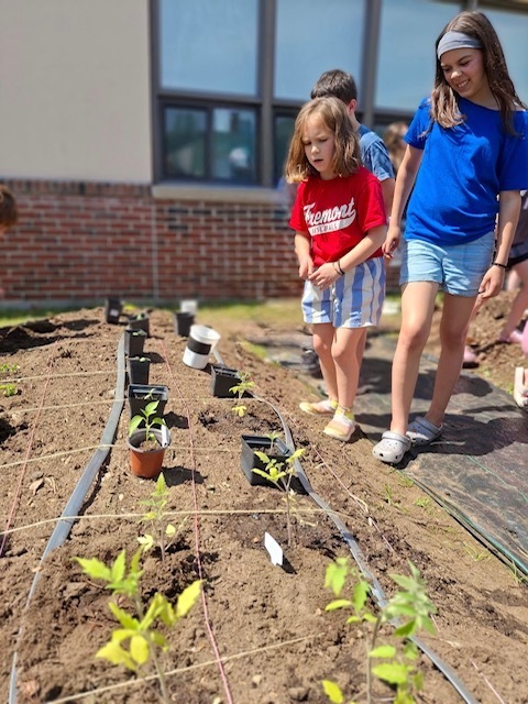 Planting plants together