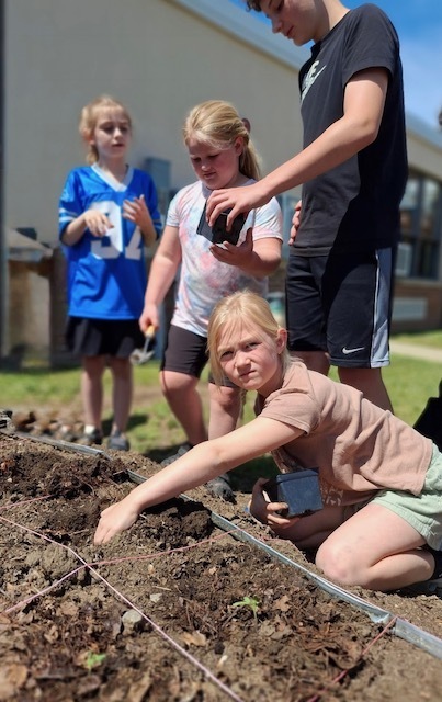 Planting plants together