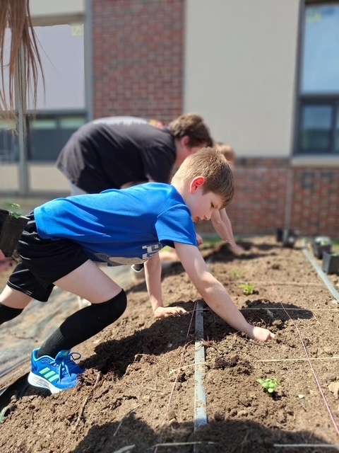 Digging holes in the soil
