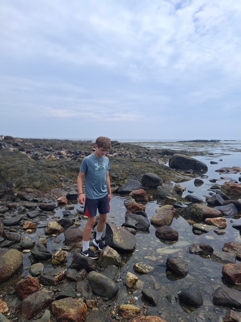 A student standing on the tide pool rocks