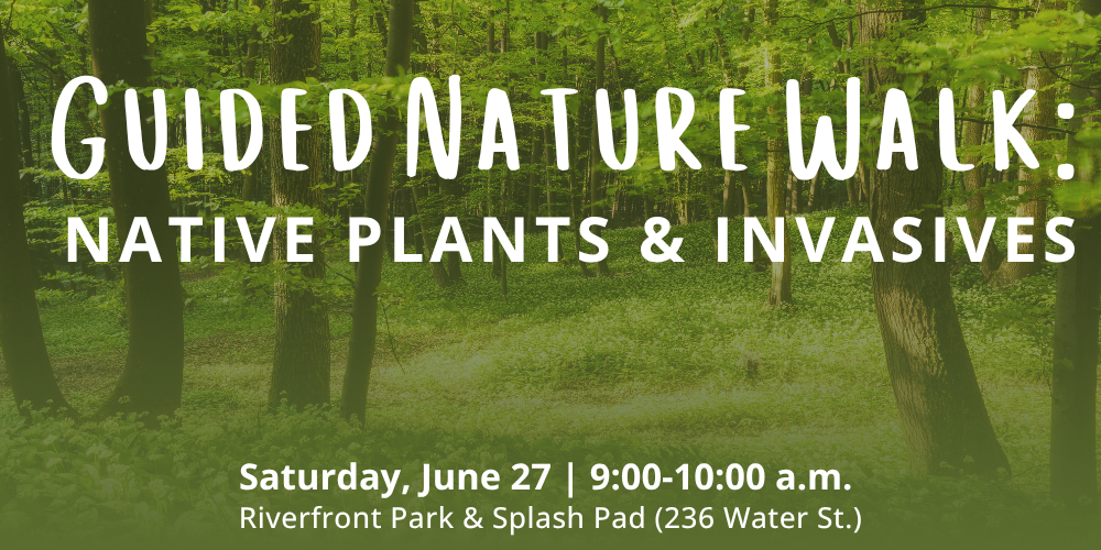 Guided Nature Walk