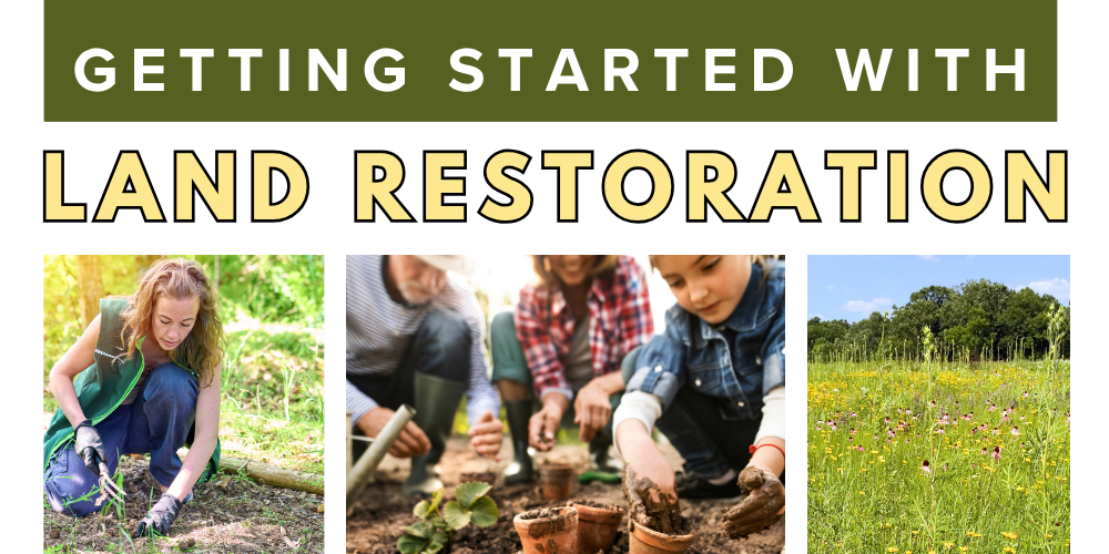Getting Started with Land Restoration