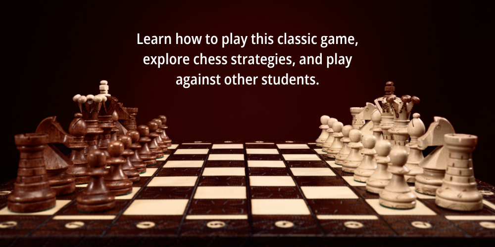Learn to Play Chess class